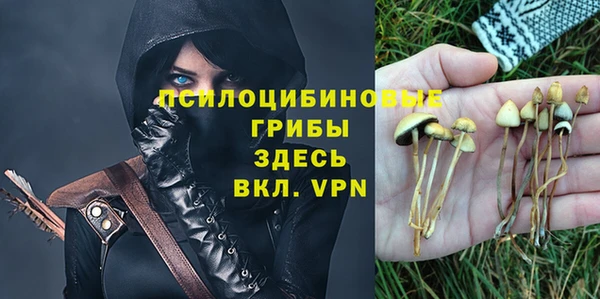 СК Козельск