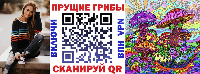 Псилоцибиновые грибы Psilocybe  Краснозаводск 